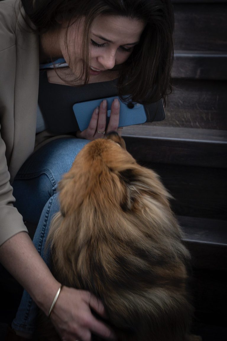 Hond Gin op de trap, de kantoormascotte van Createxx